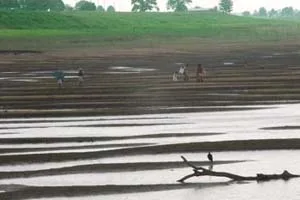 Impactos da seca na Amazônia são descartados
