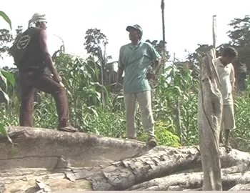 Invasores ocupam reserva dos Uru-Eu-Wau-Wau