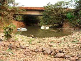 A longa agonia do Rio Palmeira
